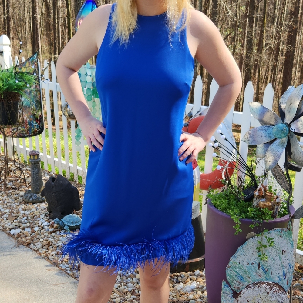 Taylor Wispy Sleeveless Feather‎ Shift Dress Size 8